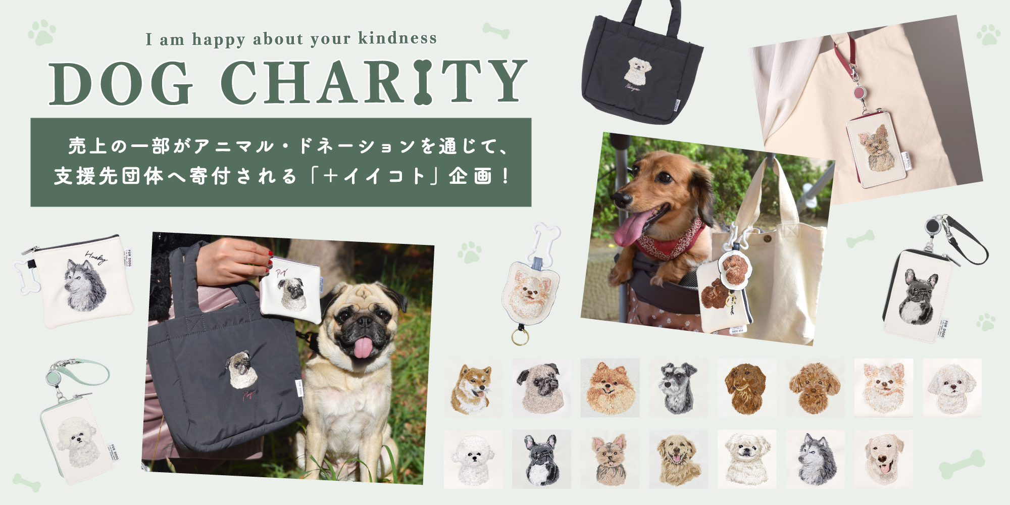 DOG CHARITY